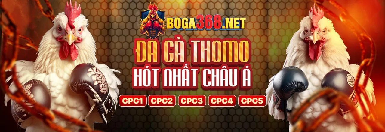 Hình ảnh nền tảng MU66 Nhà Cái 2026